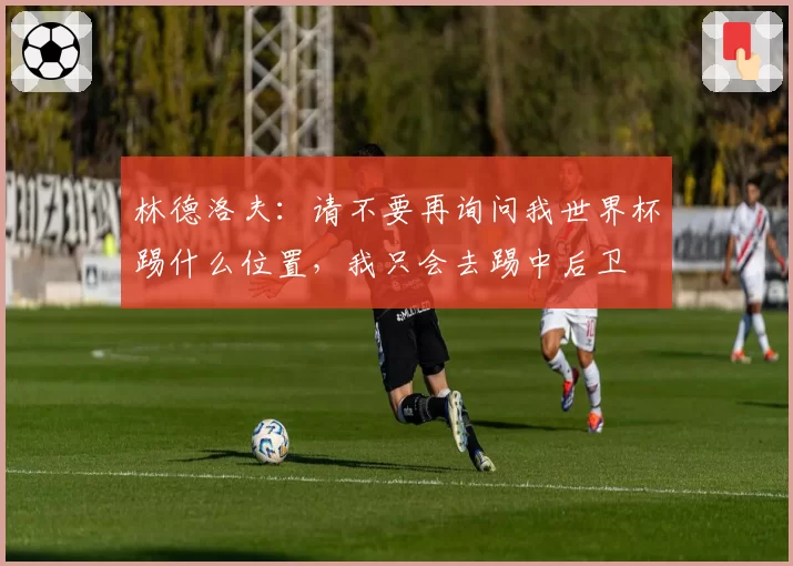 林德洛夫:请不要再询问我世界杯踢什么位置,我只会去踢中后卫