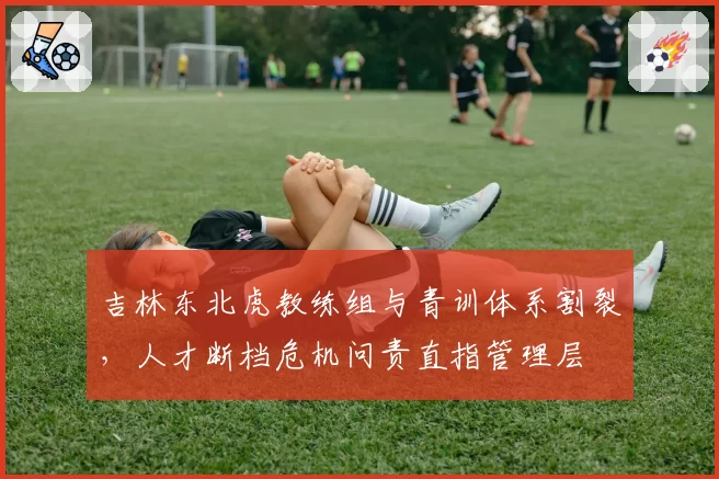 吉林东北虎教练组与青训体系割裂，人才断档危机问责直指管理层