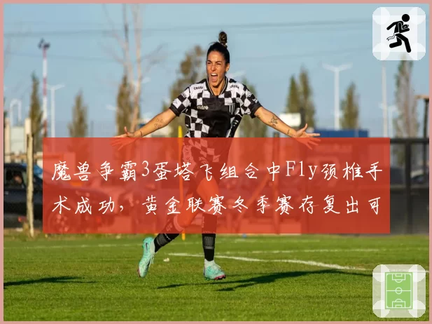 魔兽争霸3蛋塔飞组合中Fly颈椎手术成功,黄金联赛冬季赛存复出可能