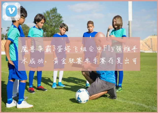 魔兽争霸3蛋塔飞组合中Fly颈椎手术成功,黄金联赛冬季赛存复出可能