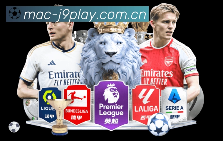 体育平台欢迎图